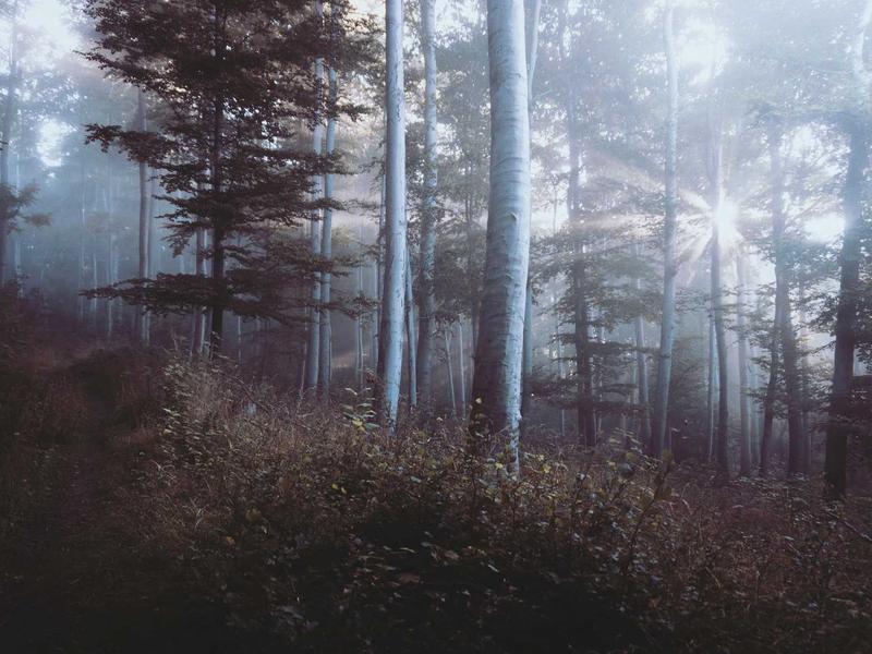 iPhone省电优化<br>续航掉电快完整设置教程